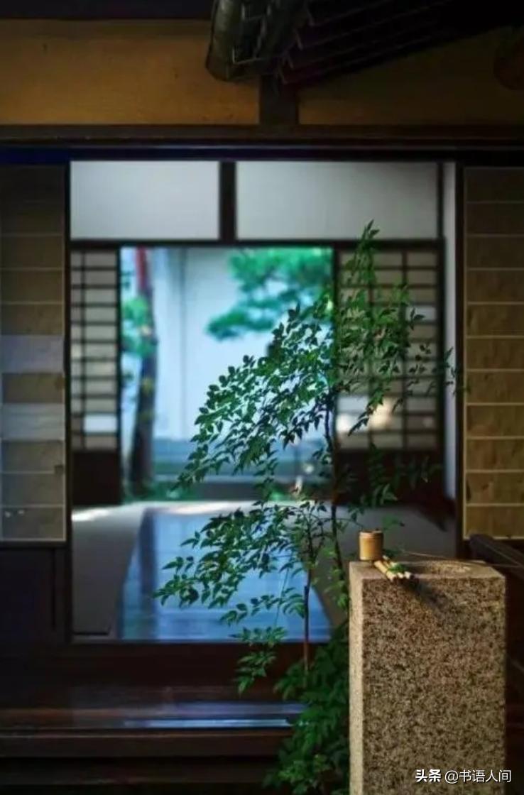 如何走出舒适区成功的例子,走出舒适区突破自我设限