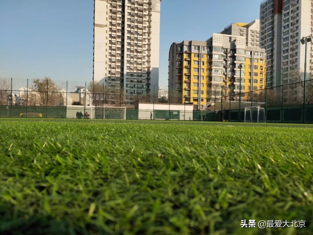 羡慕啊！住在双清路就是不一样