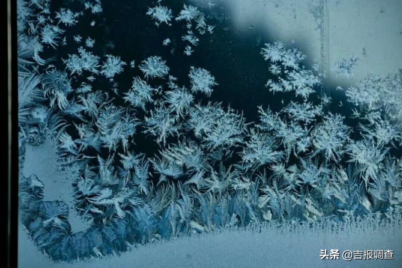玻璃窗上的霜花像什么,玻璃上的霜花是什么样子