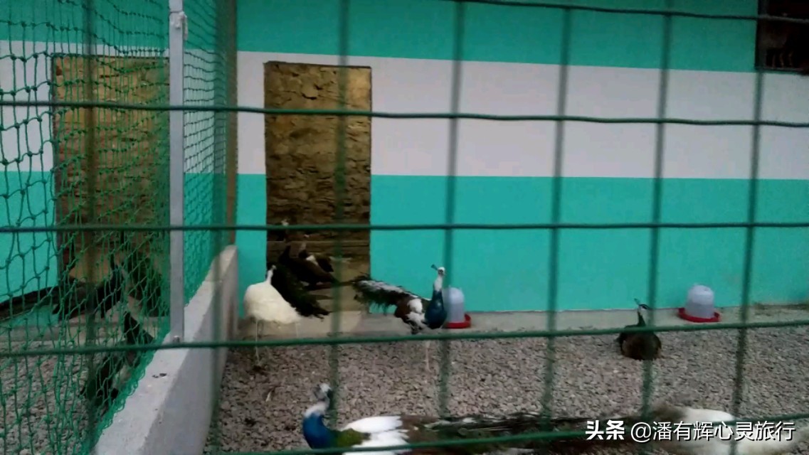 徒步第126天海南环岛行,徒步135天到大悟视频