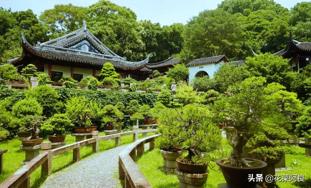 吴王阖闾陵墓上的虎丘,虎丘是吴王谁的墓