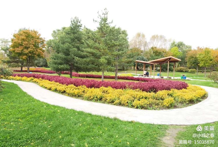 哈尔滨素描俱乐部,哈尔滨素描画室