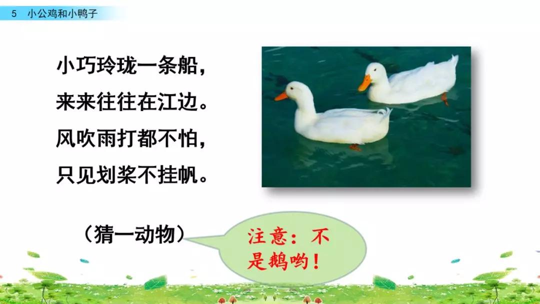 小公鸡和小鸭子一年级下册视频,一年级下语文小公鸡和小鸭子讲解