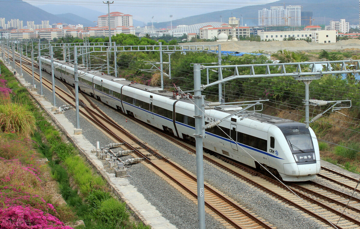 倪海厦谈中医派系,倪海厦怎么判断中医是不是经方派