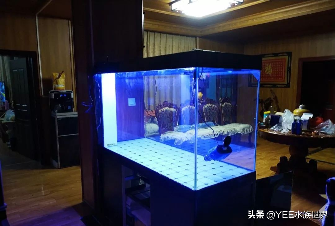 鱼缸胶水和耐候胶有什么区别,哪种鱼缸玻璃胶的粘性最强