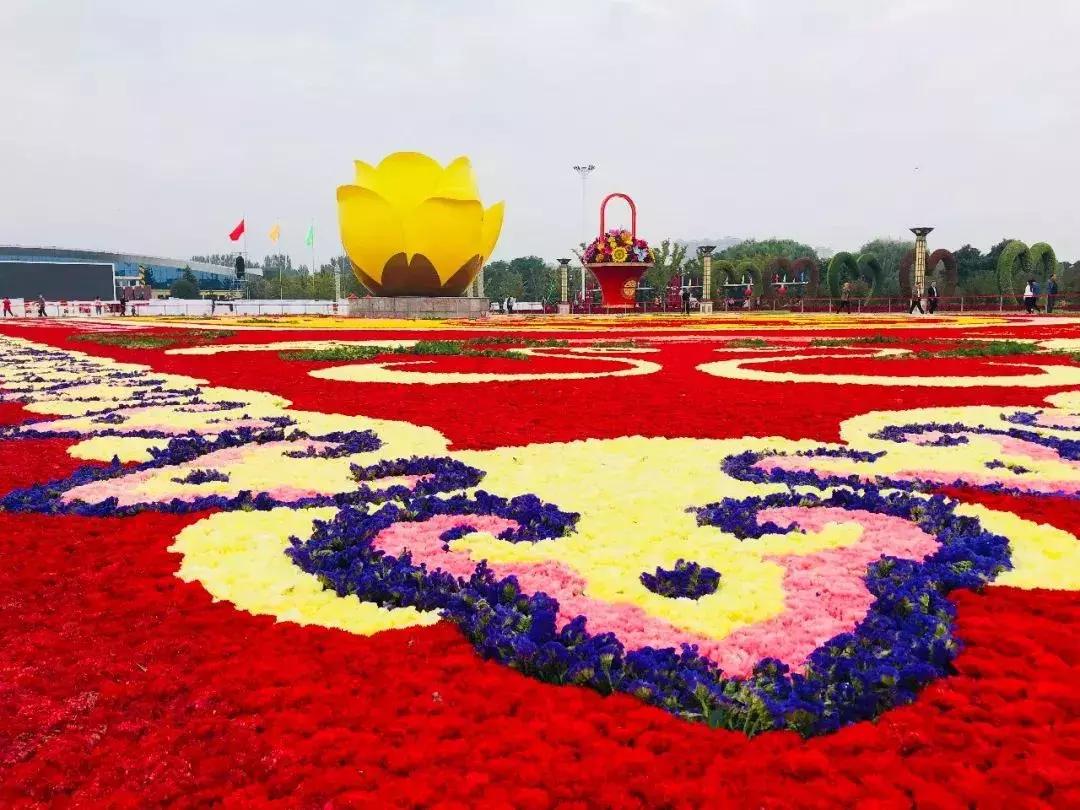 最近郑州有关好消息,郑州东区好消息