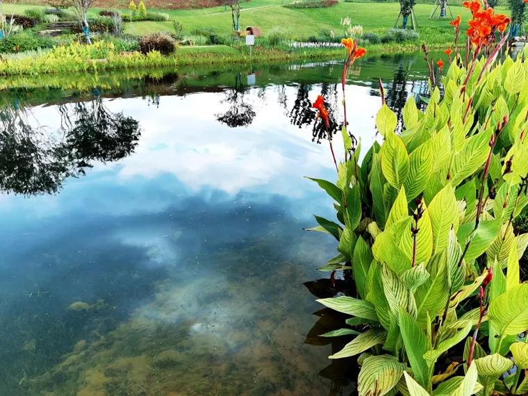 世界第一3d打印桥,中国最大3d打印桥视频