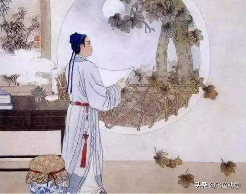 木棉树，*欢合**树，枇杷树：这3棵树写出了3个女人最精彩的一生