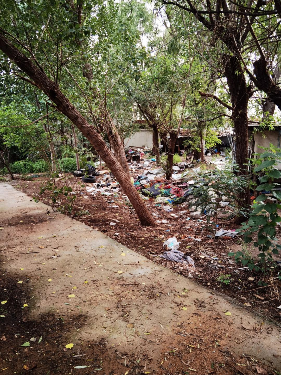 小公园垃圾场视频,公园垃圾乱象