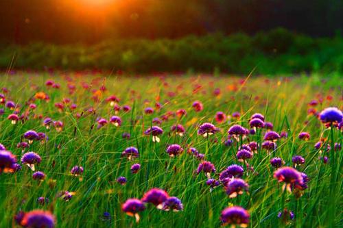 get用法口诀,get用法总结六年级