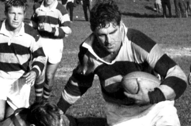 常春藤polo衫高中生男,常春藤学院风polo衫