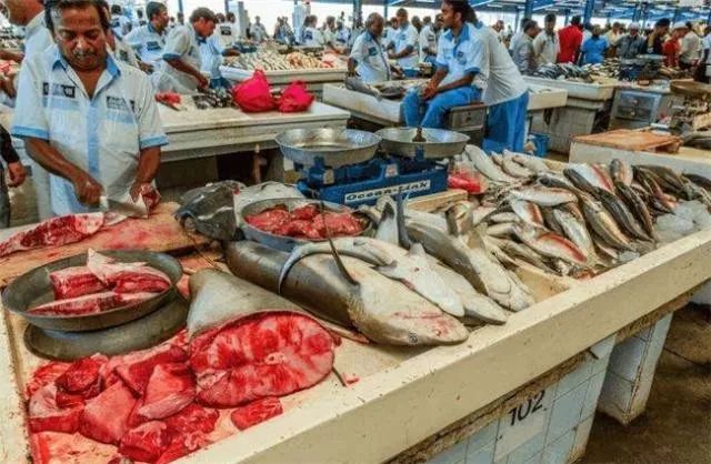 迪拜最有钱的是谁,为什么迪拜人有钱