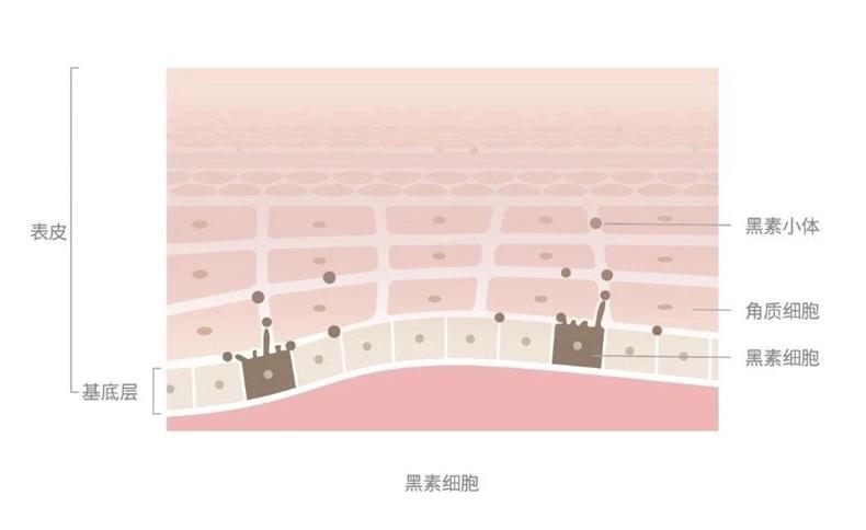 美白的十大技巧,最简单的美白方法推荐10个好办法