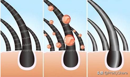 哪款洗发香波比较好,怎样挑选洗发香波