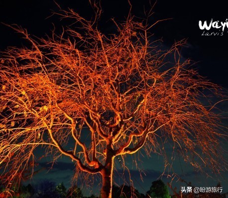 关西白滨自由行攻略,日本自由行攻略大阪温泉