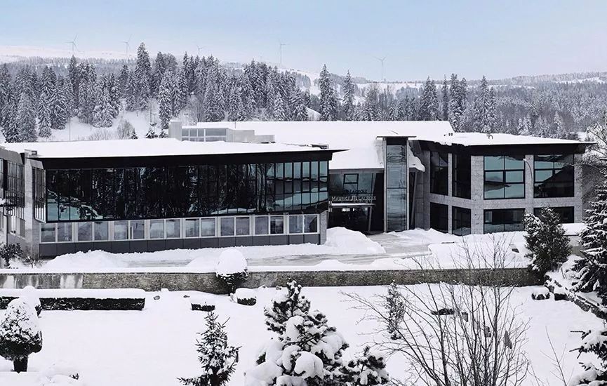 艾美橡树机芯,古董计时腕表