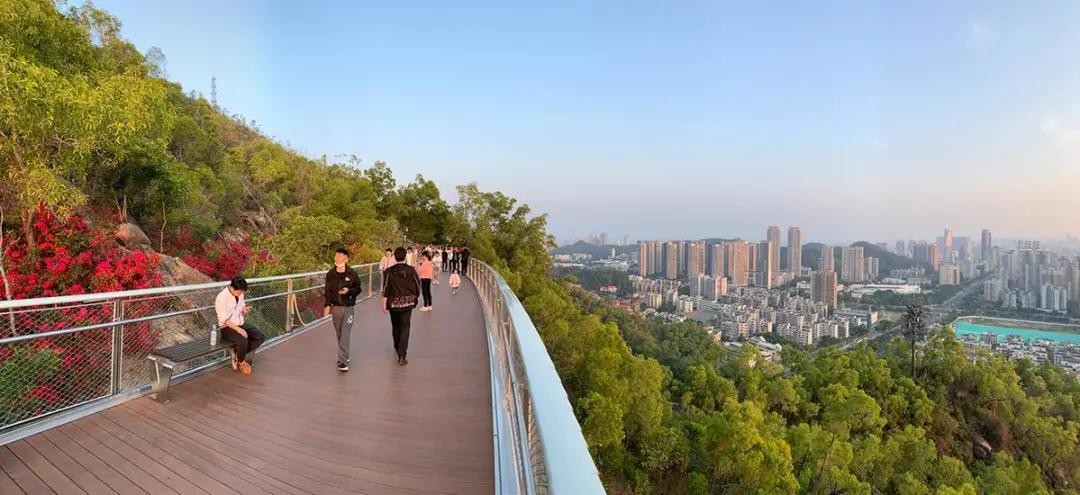 珠海入户口积分多少,珠海积分入学入户时间