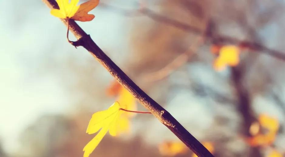 四个人的友情总有一个人多余,三人的友情总有一个人是多余的