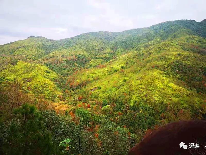 温州居然有这么美的小众景点,温州青龙山风景区在哪里
