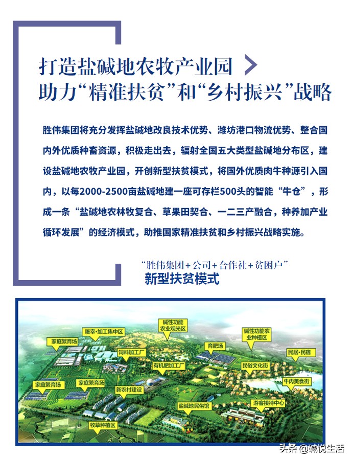 盐碱地养牛怎么预防牛病,如何短时间内获得大量高产奶牛