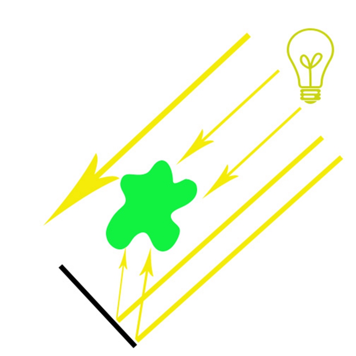 摄影大师拍摄花卉技巧,各种花的拍摄设备有哪些