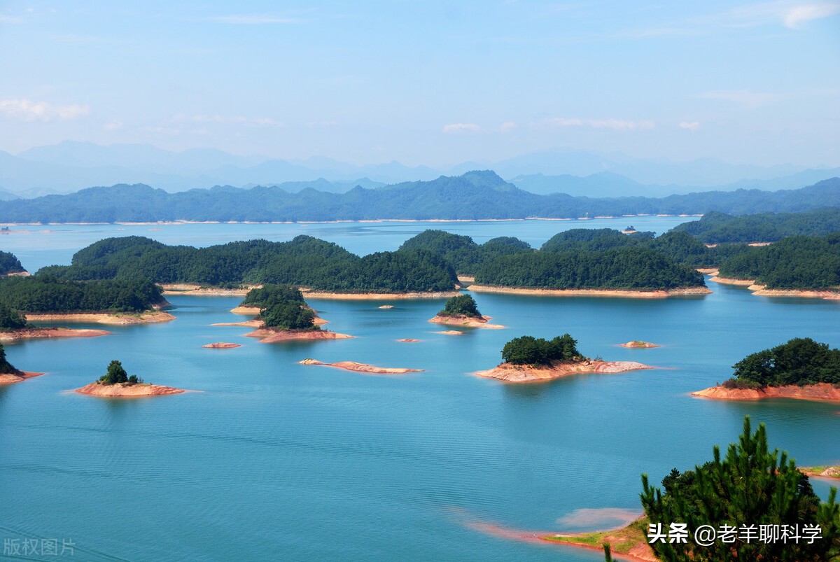 渔民一网捞起价值200万鱼群 (渔民捞到一网鱼价值400万)