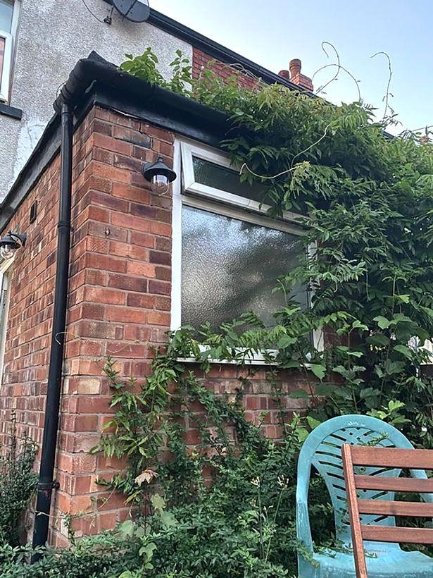 英国26岁女子洗澡时被邻居“目睹一切”，为避免尴尬邻居写信通知