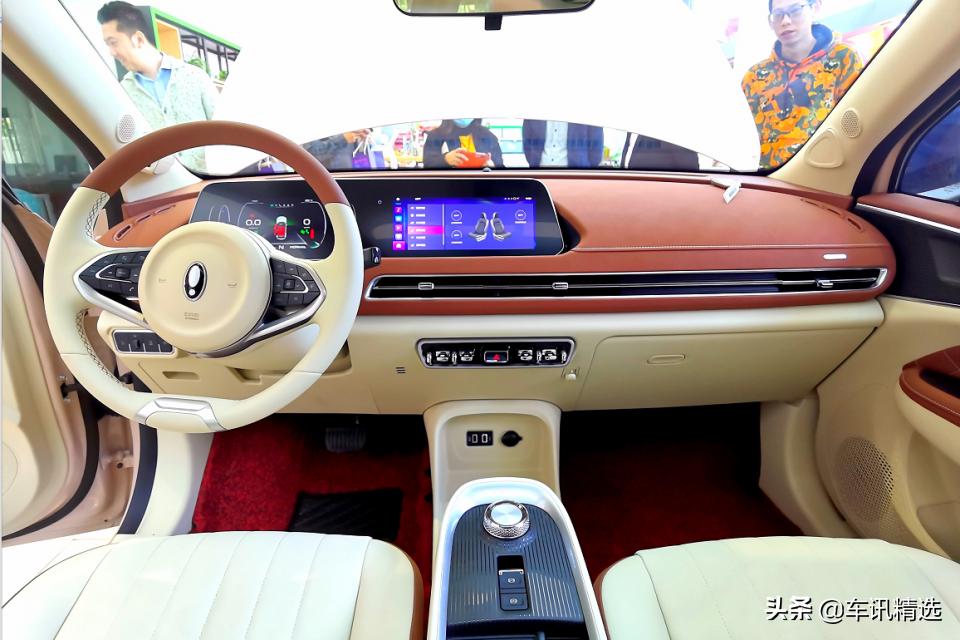 这有一只“好猫”登陆厦门，欢迎来“撸”