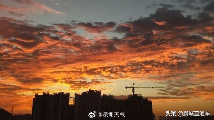 昨天深圳晚霞喜提热搜！美爆了，一大波晚霞图片来袭