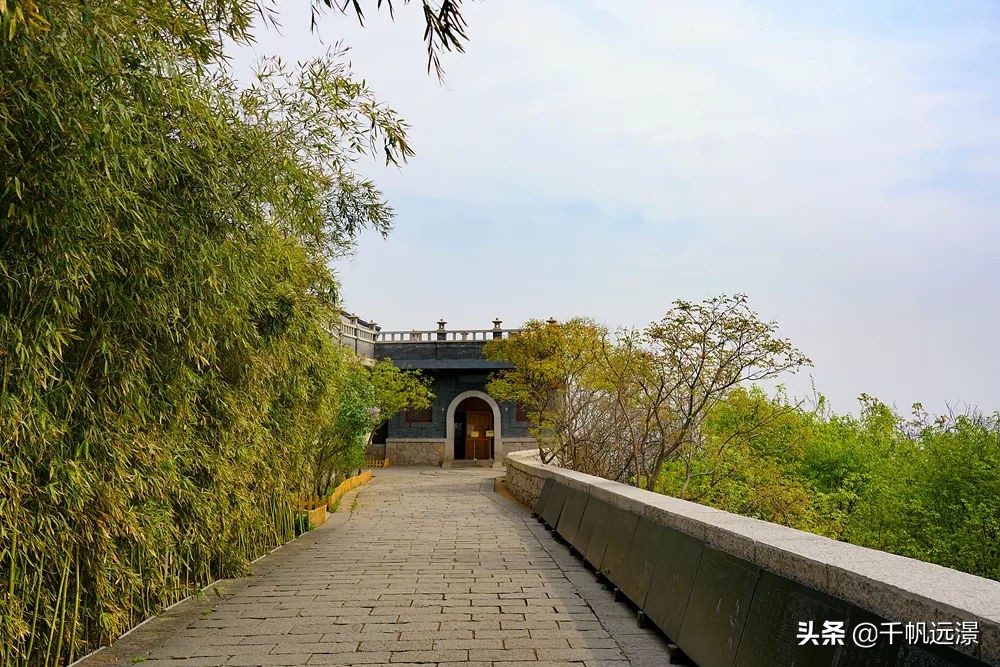 阳春四月迎来春,阳春四月槐花香