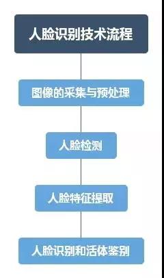 一文读懂nmn,一文看懂人类逻辑