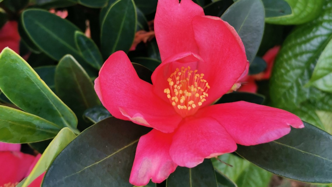 拥有处女座你就拥有全世界,拥有处女座会怎么样