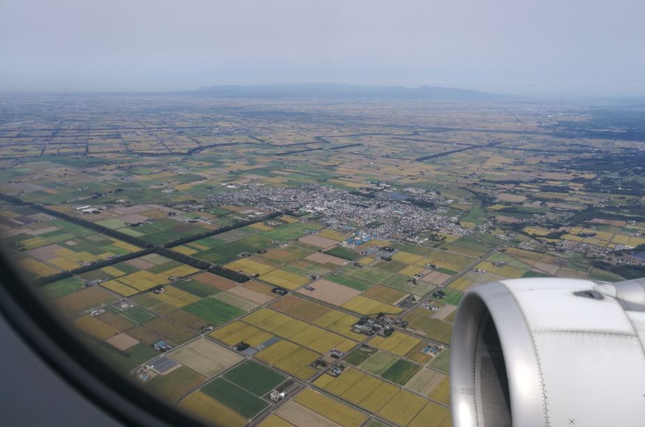 日本旅行你想省几百元，他却省了几千元，只因你忽略了帕累托改进