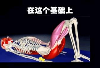 宝藏瑜伽视频大全,瑜伽臀桥式的主要发力点