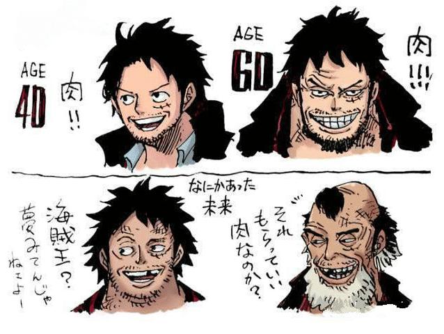 路飞索隆山治艾斯萨博娜美,当路飞老了以后