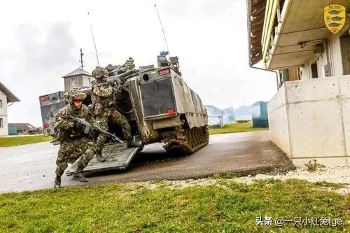 那些年给兔子整装备的西方国家「4」:瑞士