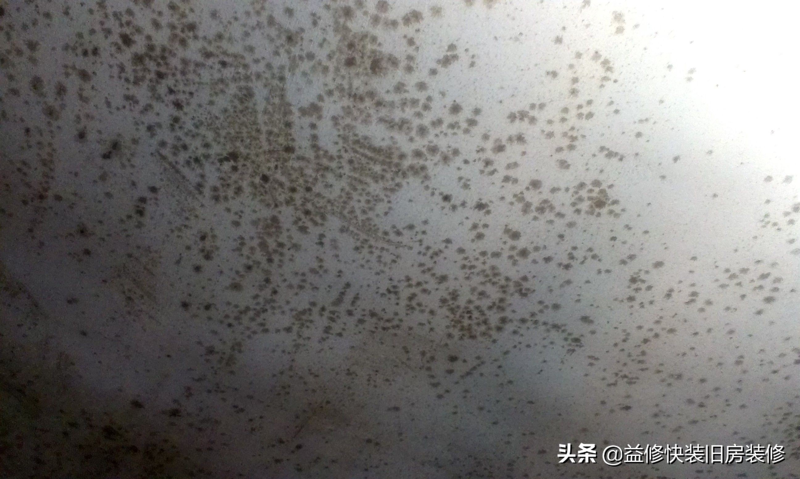 家里墙壁发霉了怎么处理干净,家里墙壁发霉怎么处理妙招