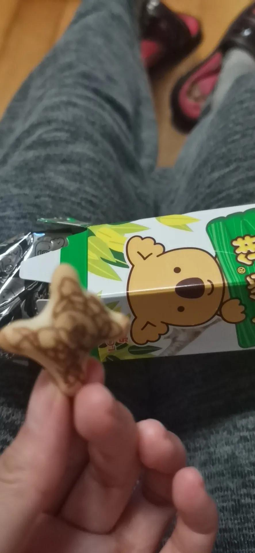 大橘猫和主人被骚扰,橘猫被主人骚扰