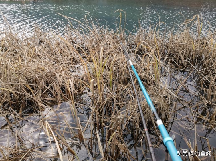 突然下雨降温第一天钓鱼好钓吗,下雨刮风好钓鱼吗
