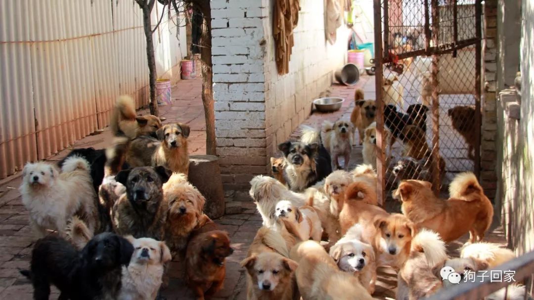 每一个生命都需要被尊重和善待,每一个生命都要被尊重被温暖