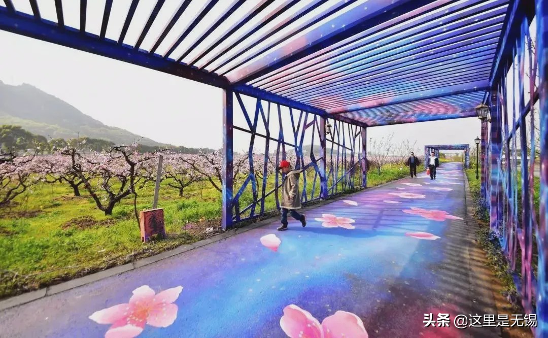 无锡最美网红步道坡度,无锡网红步道有哪些