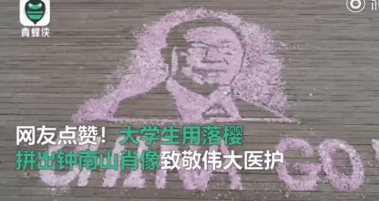 点赞!辽宁两大学生用落樱致敬榜样