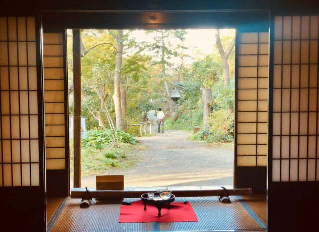 东京到镰仓和箱根攻略,东京箱根富士山镰仓