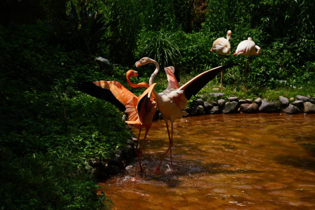 云南腾冲旅游景点十大排名,云南十大旅游景点需要的赶紧收藏