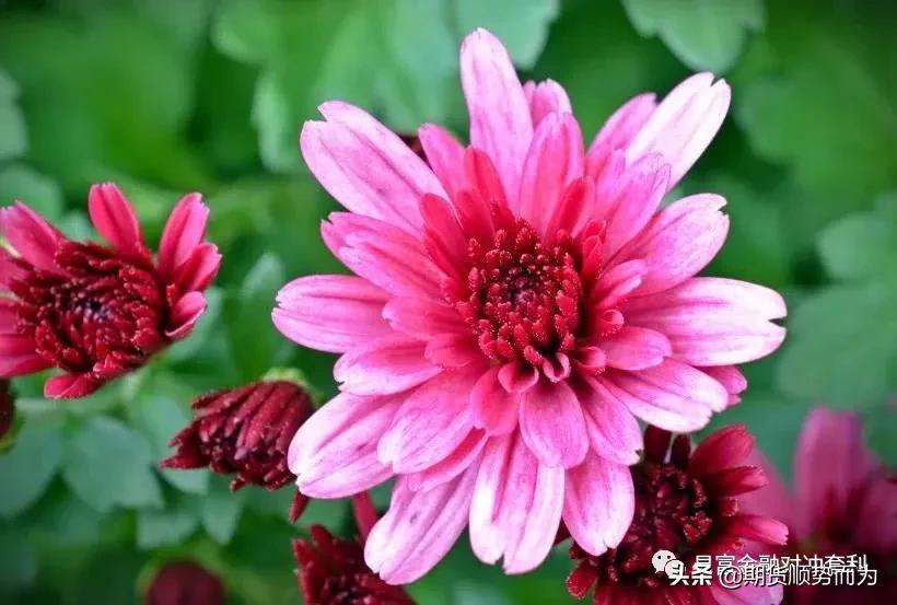 期货个股操盘波段进场指标怎么用,期货识别趋势转折点技巧