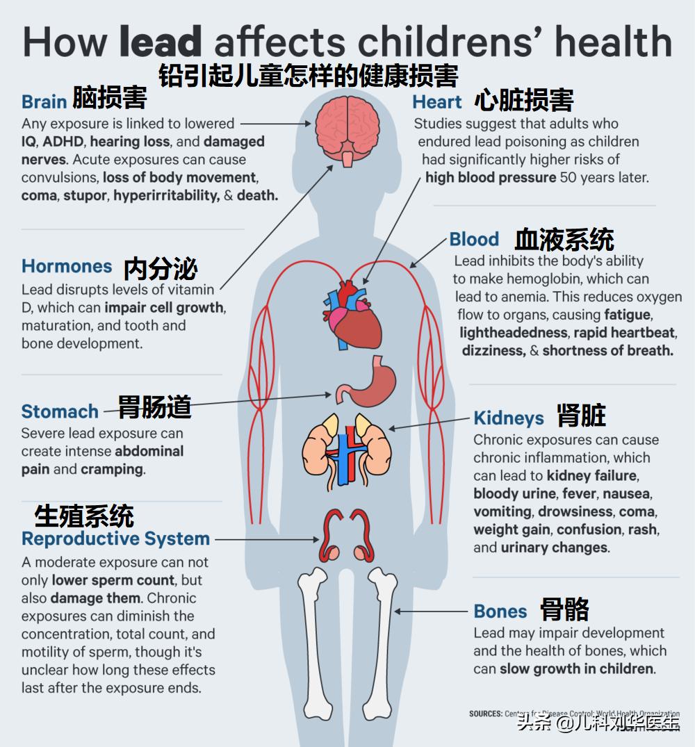 最纯的毒铅是什么 (引发慢性中毒的毒物铅)