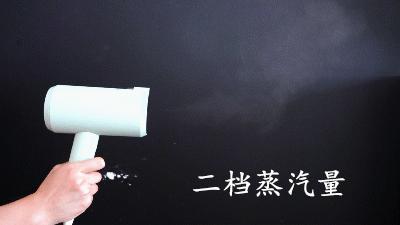 我被李佳琦“割韭菜”:吹风机式手持挂烫机,使用一周后什么感受