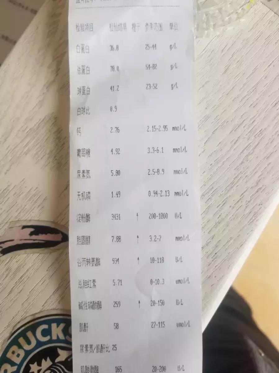 老年犬病后虚弱怎么办,老年犬肾衰怎么办