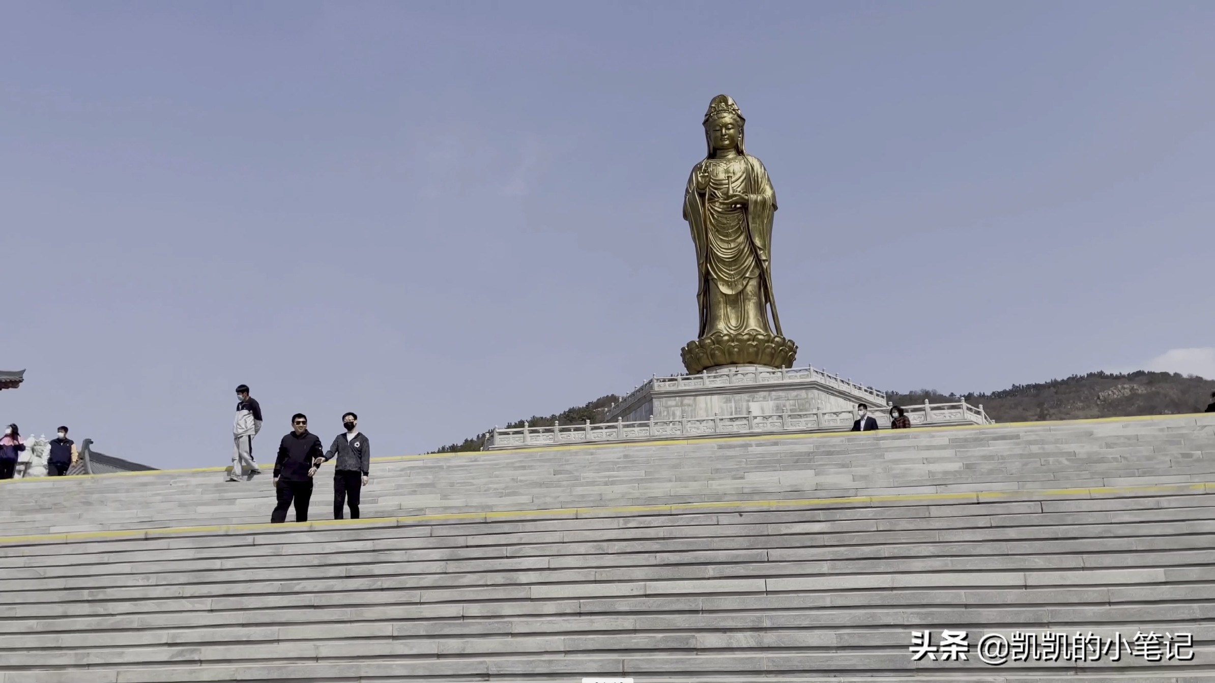 横山寺樱花园门票,横山寺和龙王塘樱花园
