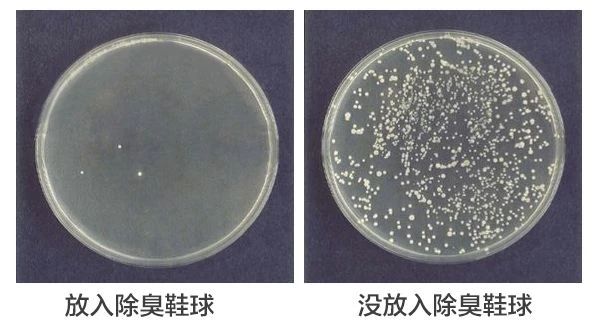 穿几十块的鞋会脚臭吗,穿几十块钱的鞋子臭脚吗